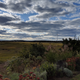 Image for article titled The Google Pixel 3 XL is a fantastic camera attached to a decent phone